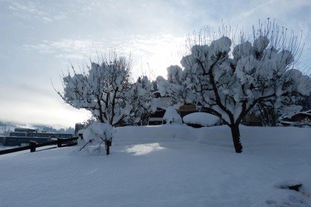 Garten im Winter