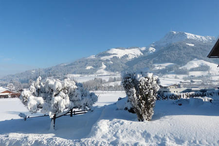 Panoramablick zum Kitzbüheler Horn