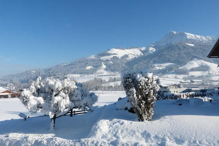Winter-Panoramablick auf das Kitzbüheler Horn